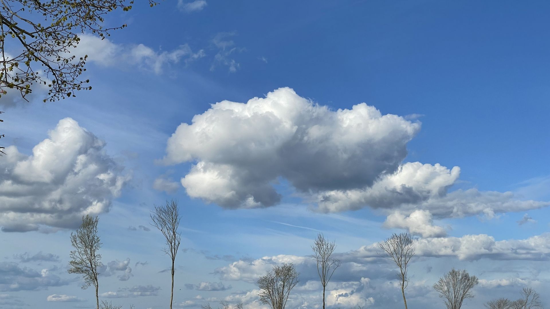 Wolken über Raps