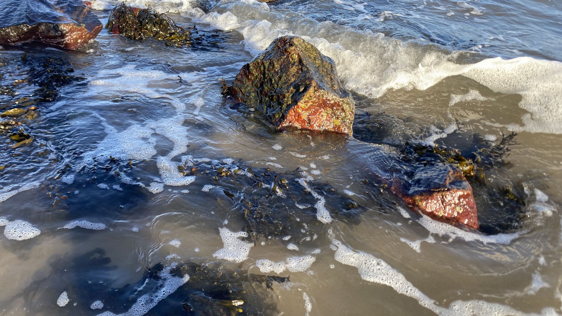 Wellen Ostsee